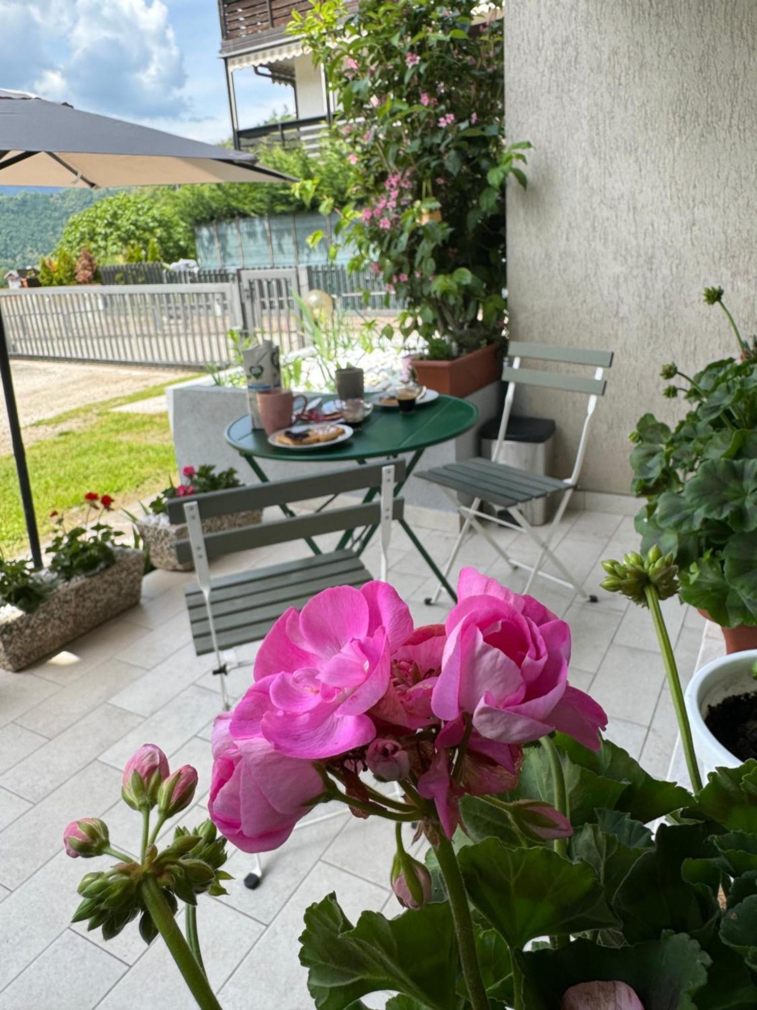 Green House Next - Lovely Apartment For Family And Free Parking Левико Терме Екстериор снимка