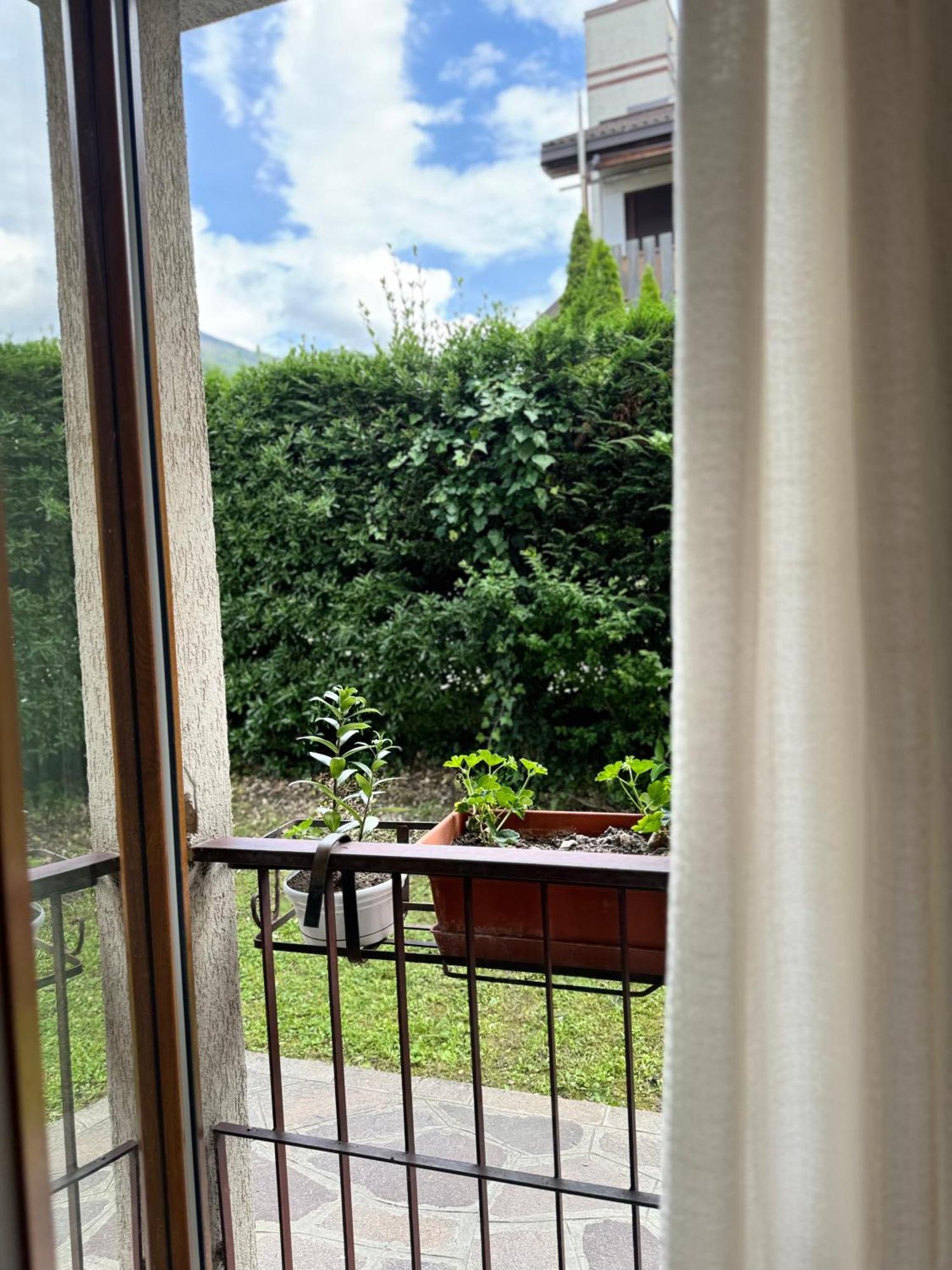 Green House Next - Lovely Apartment For Family And Free Parking Левико Терме Екстериор снимка